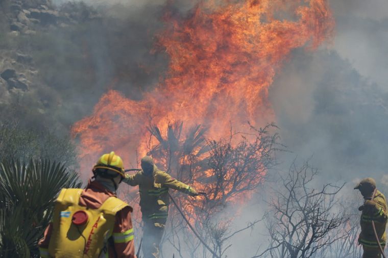 Está contenido el incendio forestal cerca de San Pedro Norte.