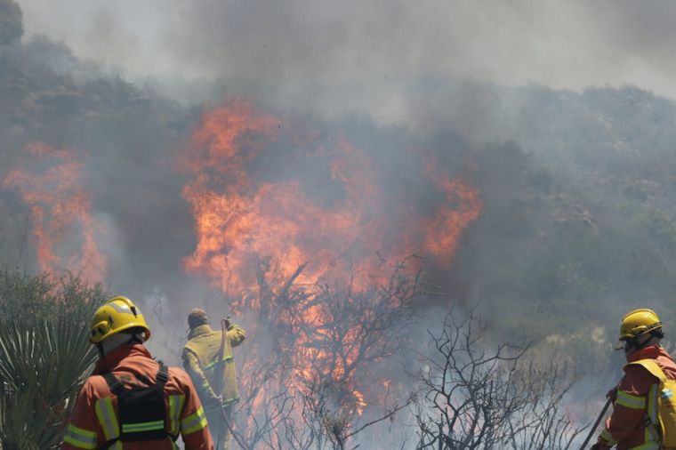 FOTO: Está contenido el incendio forestal cerca de San Pedro Norte.
