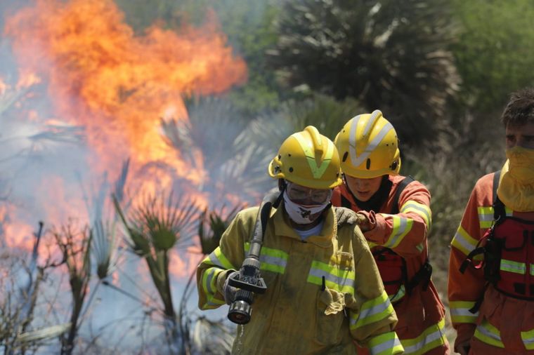 Está contenido el incendio forestal cerca de San Pedro Norte.