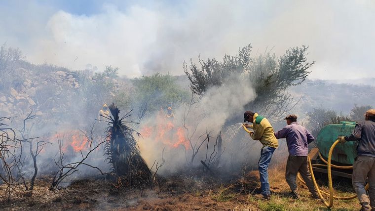 Está contenido el incendio forestal cerca de San Pedro Norte.