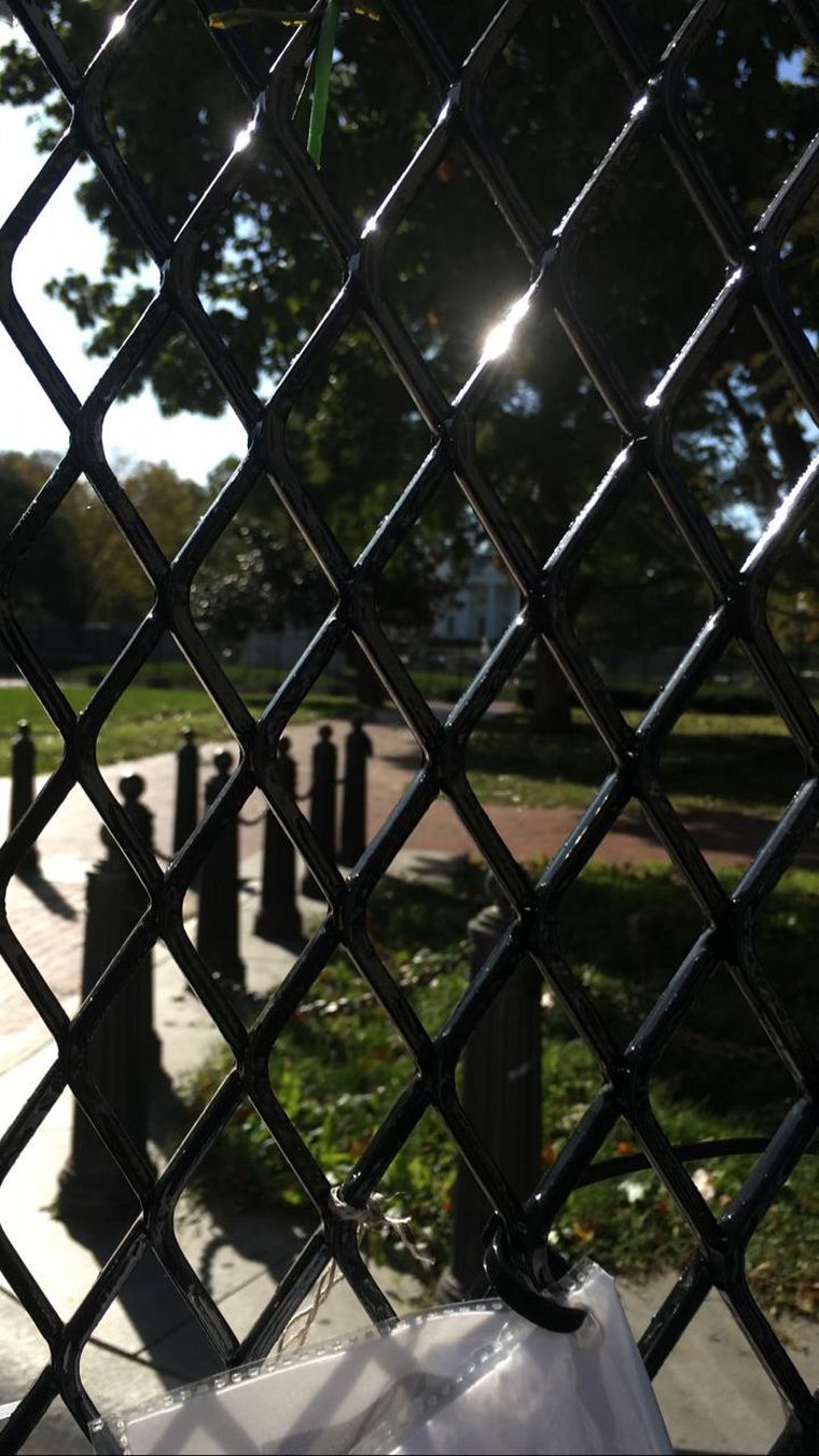 En Washington, la votación se vive con gran algarabía