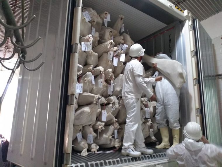 AUDIO: Un frigorífico cordobés exportará carne a Sri Lanka
