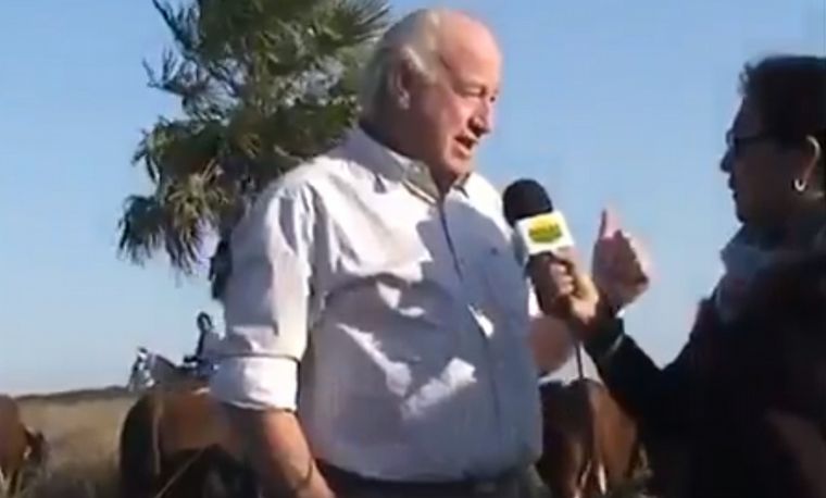 Médico veterinario fue embestido por un animal cuando era entrevistado