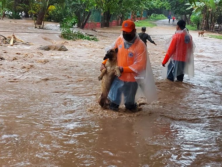 Decenas de muertos dejó el paso del huracán Eta por Centroamérica (Foto: Twitter).
