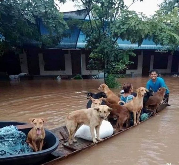 Decenas de muertos dejó el paso del huracán Eta por Centroamérica (Foto: Twitter).