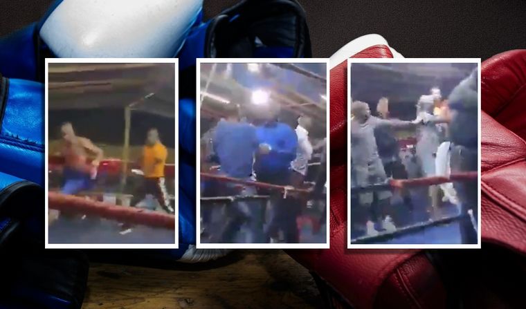 Batalla campal en pelea de boxeo. 