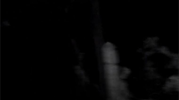 Una mujer logró capturar el vídeo de un