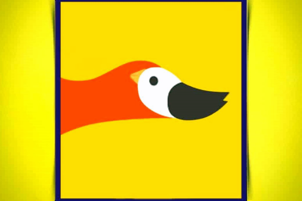 Pato o pájaro: ¿Qué imagen fue la primera que viste?