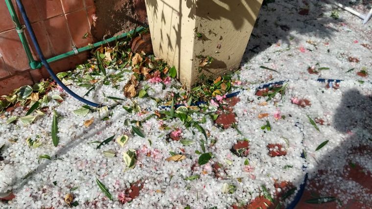 Fuertes tormentas y caída de granizo en Mendoza.