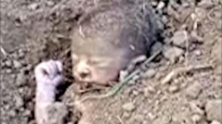 FOTO: Rescataron a un bebé que había sido enterrado vivo. FOTO: dailystar.co.uk