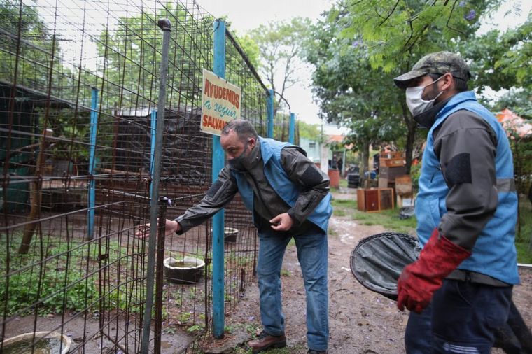Trasladan a más de 120 animales de un predio por malas condiciones