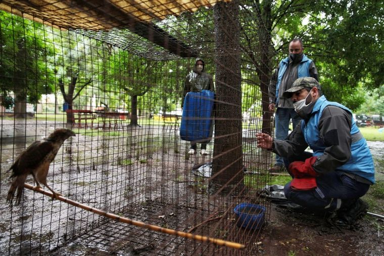 Trasladan a más de 120 animales de un predio por malas condiciones