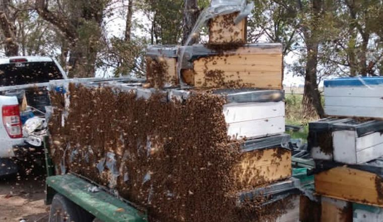 Mariano Guillermo García muestra en imágenes las pérdidas al cruzar de San Luis.