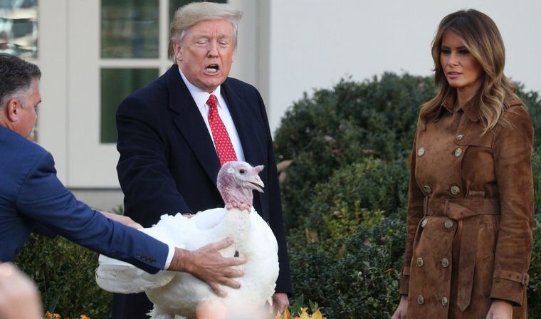 Donald Trump indultó a un pavo antes de Acción de Gracias en Estados Unidos.