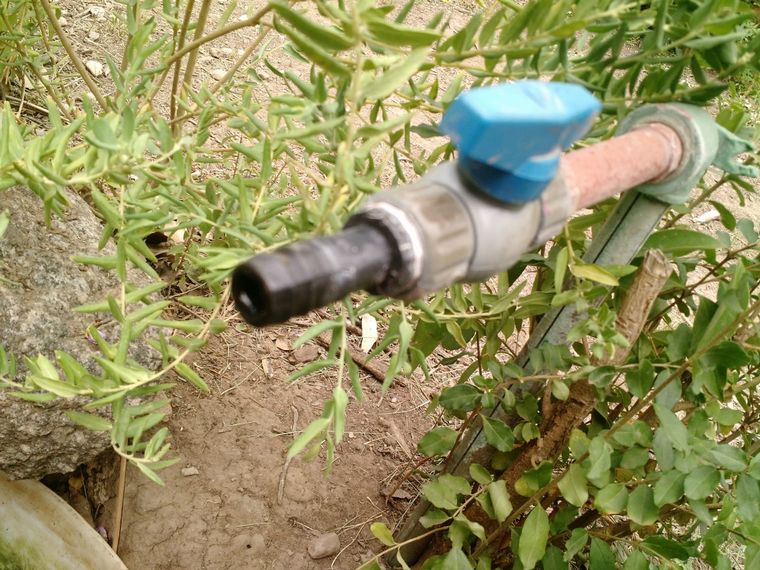 Córdoba: Están sin agua hace 6 días por culpa de un vivero