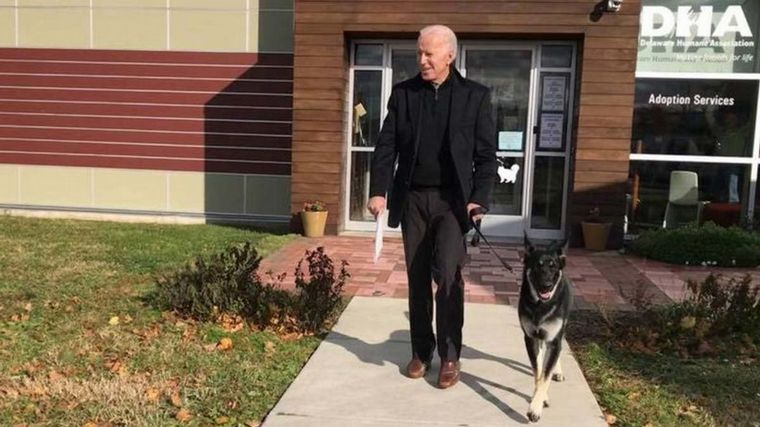 Joe Biden se fisuró el pie derecho al jugar con uno de sus perros.