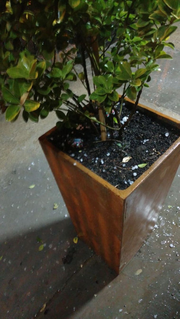Cayó granizo en el Gran Mendoza.