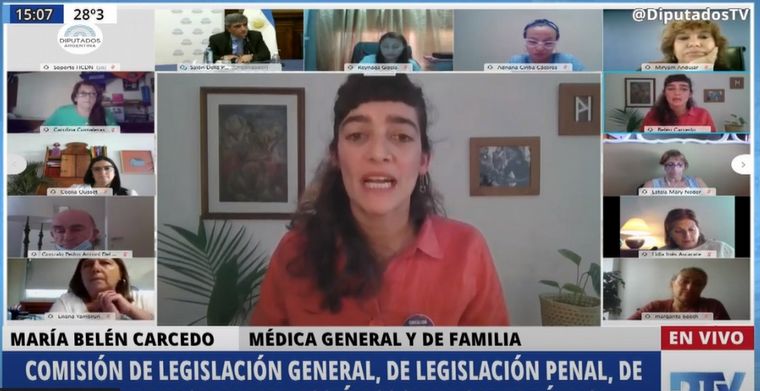 Segundo día de exposiciones sobre aborto en el plenario de comisiones en Diputados.