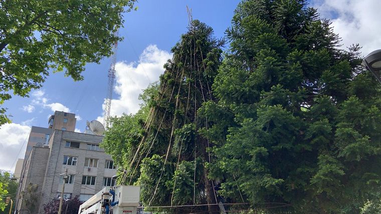 Mar del Plata tiene buzón navideño para las cartas a Papá Noel