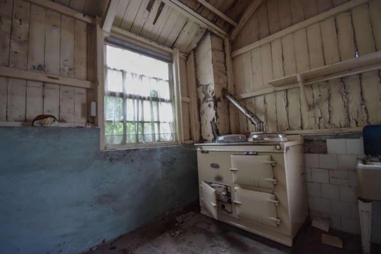 Encontró una granja abandonada hace 70 años (Foto: Daily Star)