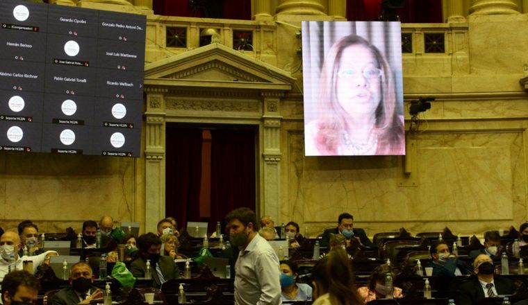 Camaño participó de la sesión de manera virtual.