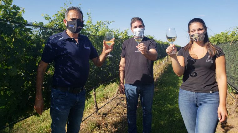 Cuatro vinos cordobeses fueron premiados internacionalmente