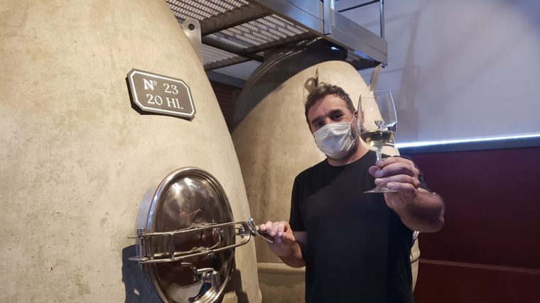 Cuatro vinos cordobeses fueron premiados internacionalmente