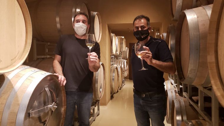 Cuatro vinos cordobeses fueron premiados internacionalmente