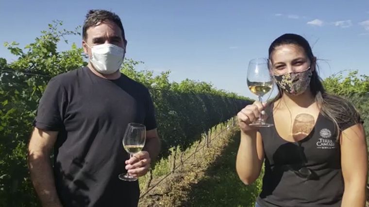 Cuatro vinos cordobeses fueron premiados internacionalmente