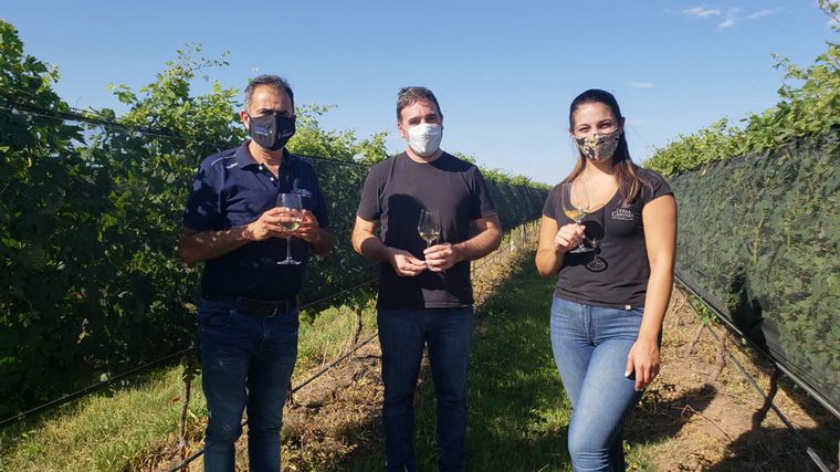 Cuatro vinos cordobeses fueron premiados internacionalmente