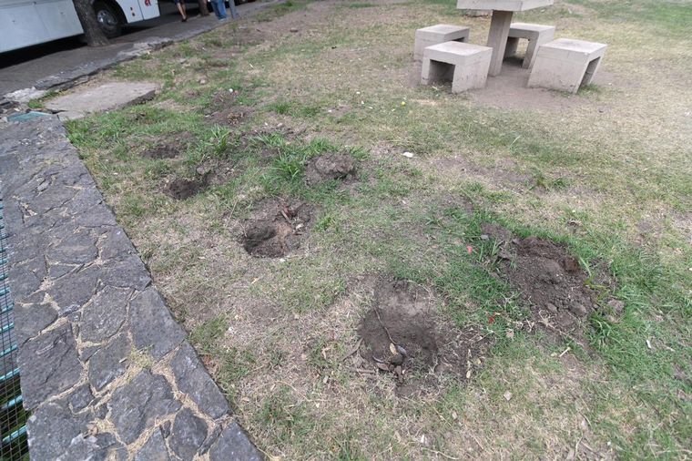AUDIO: Robaron los plantines de la Plaza de la Intendencia de Córdoba