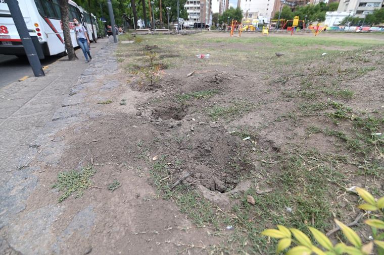 Robaron los plantines de la Plaza de la Intendencia.
