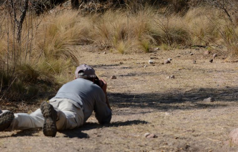Avistaje de aves en San Lorenzo