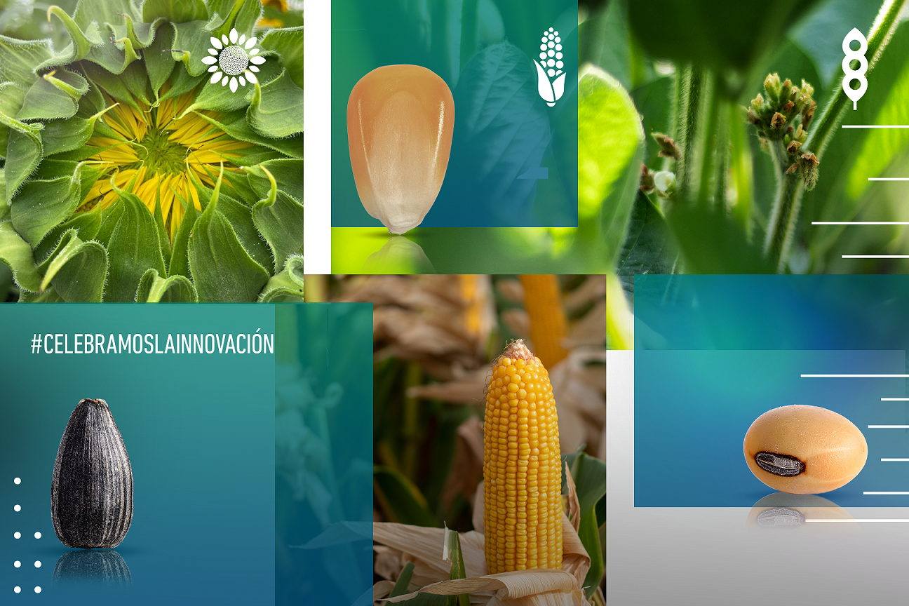 NK celebra un año del relanzamiento de su marca