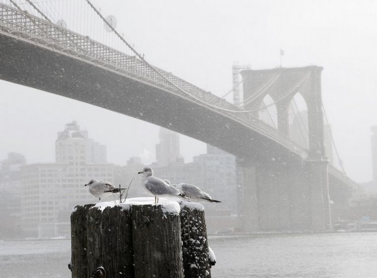 Nueva York espera la Navidad cubierta de blanco