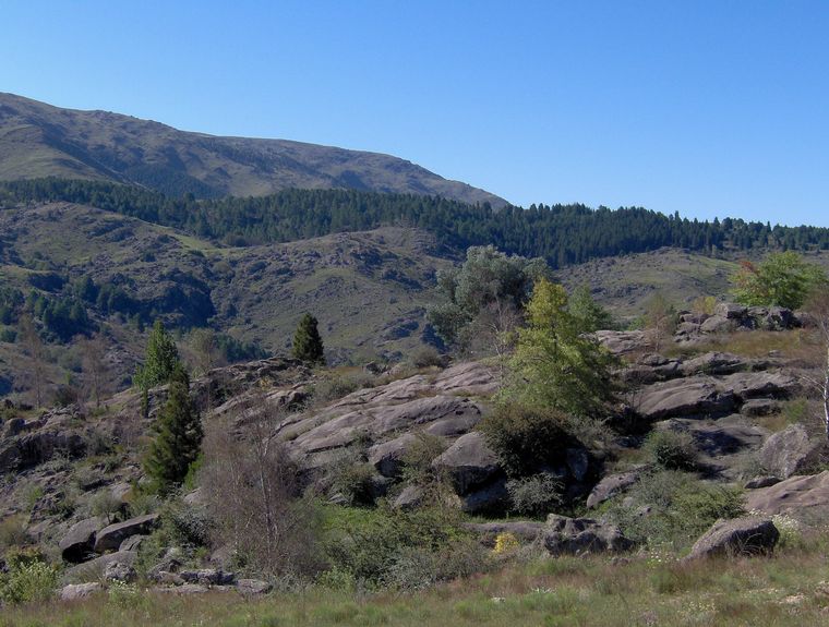 Quebrada del Condorito