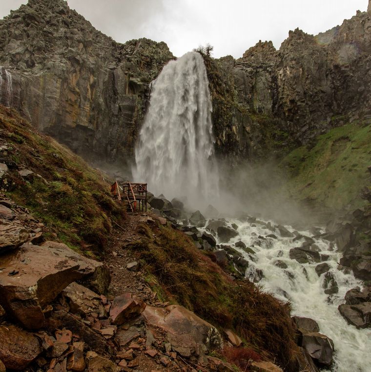 Foto: Ricardo Alfredo Kleine Samson