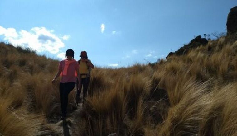 Foto: Polylepis.tur.ar