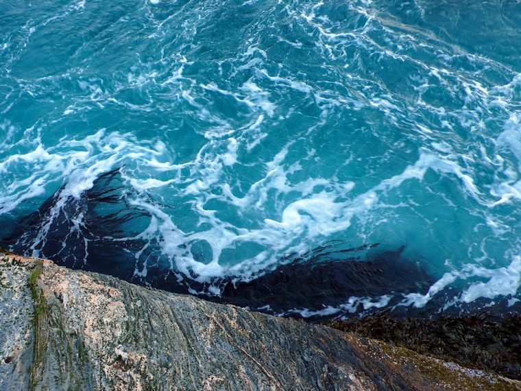 Saltsraumen (Foto: MIALIV)