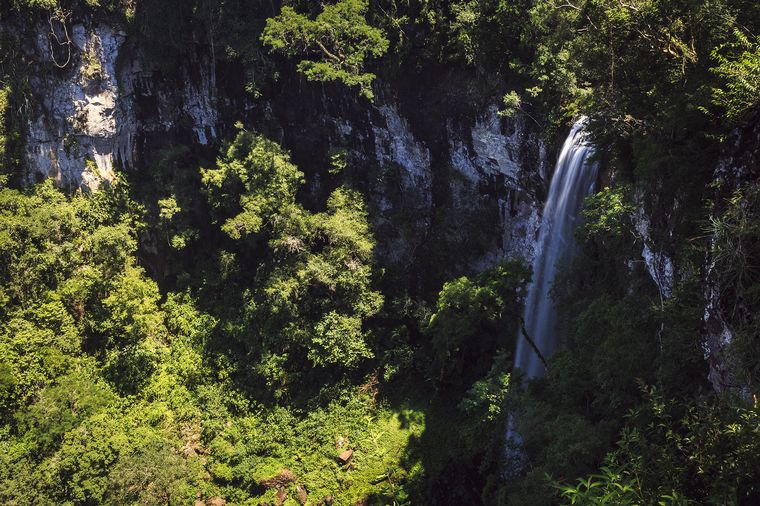 Foto: Pablo Reinsich