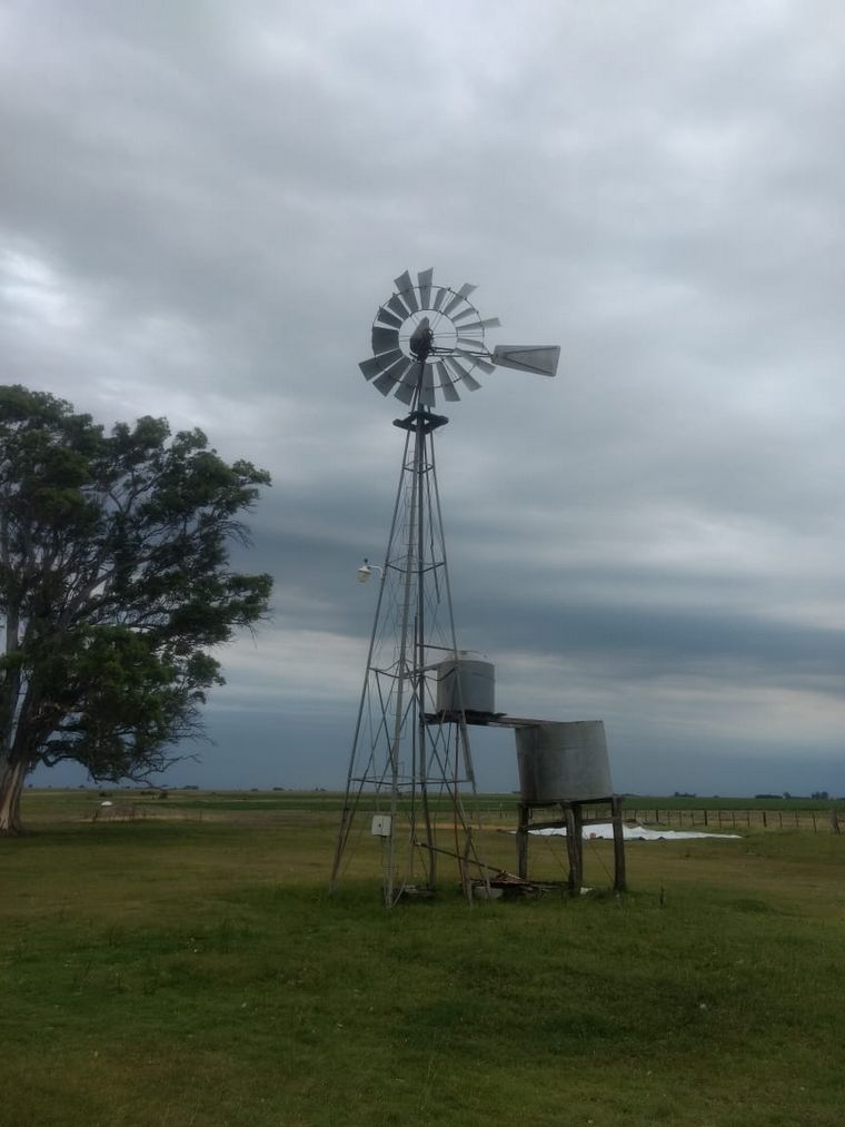 Gualterio se hizo famoso por subir a un molino de 8 metros para enviar sus tareas.