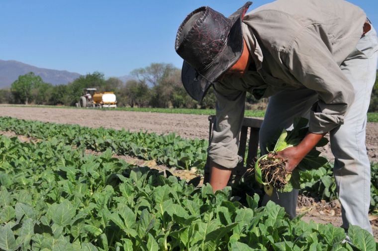 Quitan retenciones para alentar la exportación en la región