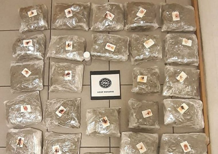Secuestraron más de 14 kilos de droga ocultos en encomiendas