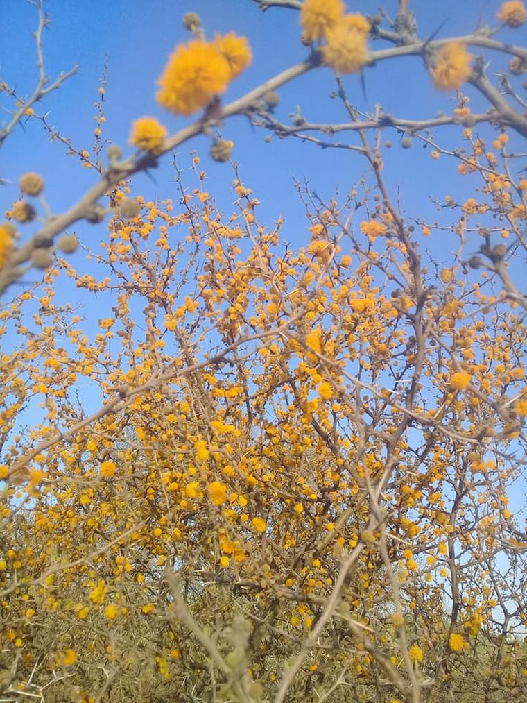 Reservas naturales en Córdoba