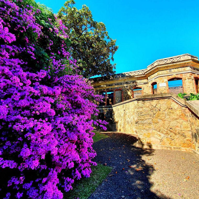 Parque de San Carlos en Concordia