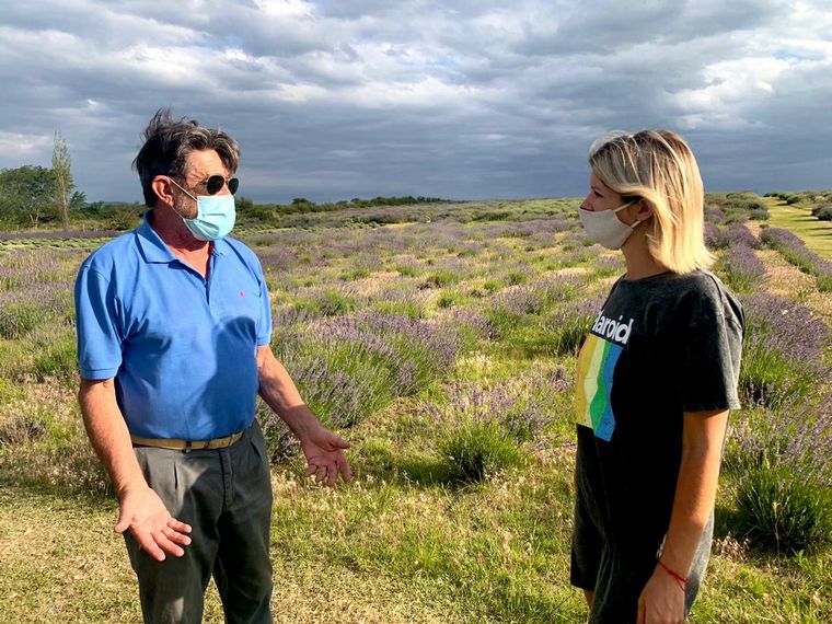 Plantación de lavandas, en La Cumbre