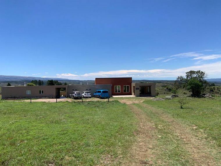 Bodega Juana Urbana, viña de altura