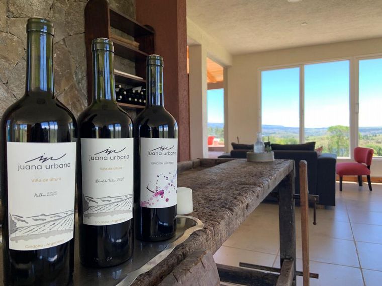 Bodega Juana Urbana, viña de altura