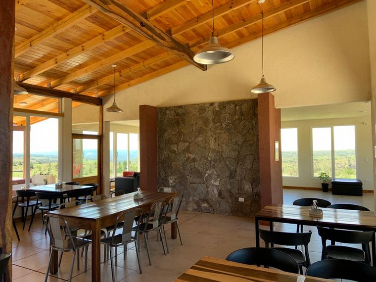 Bodega Juana Urbana, viña de altura