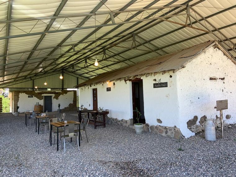 Bodega Juana Urbana, viña de altura